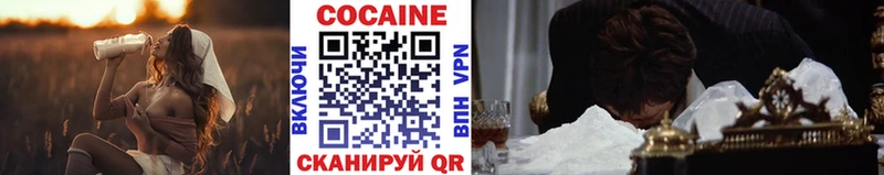 OMG сайт  Новоалтайск  КОКАИН FishScale 