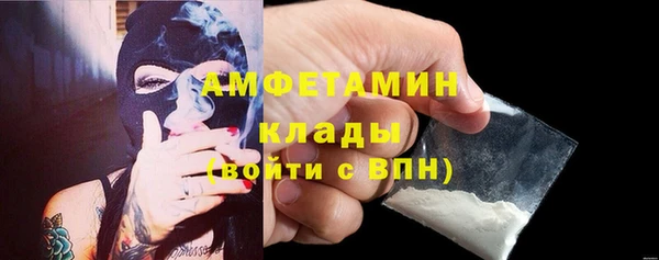 дурь Инсар
