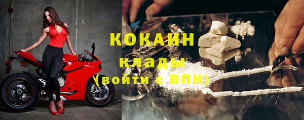 PSILOCYBIN Иннополис