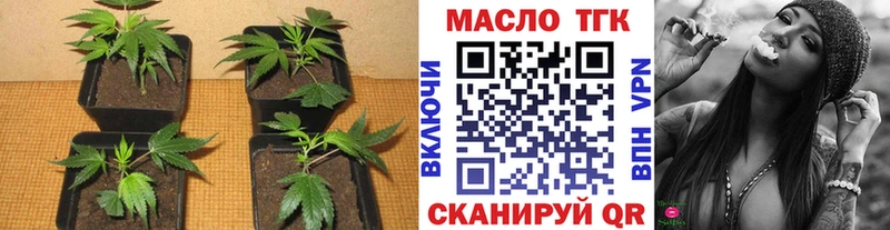 где купить наркоту  Новоалтайск  ТГК гашишное масло 